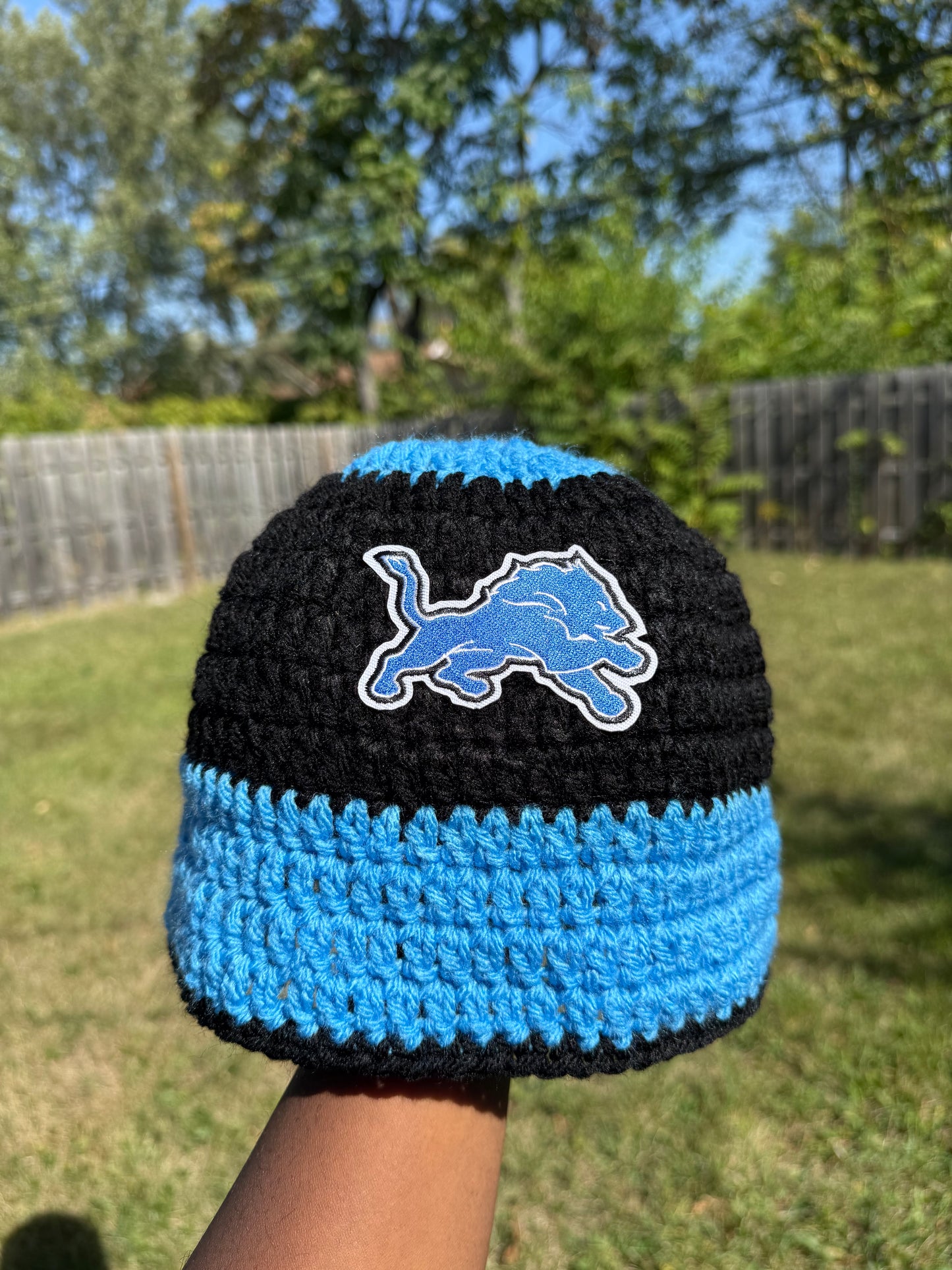 “LiONS”